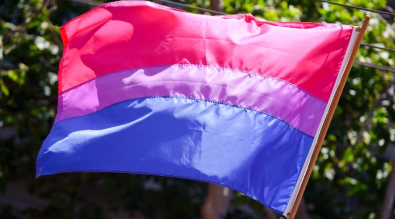 Picture of a Bi Pride Flag by Peter Salanki