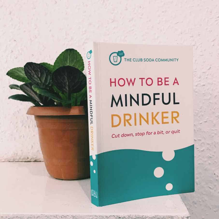 How to be a mindful drinker book