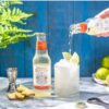 Double Dutch Ginger Ale 4 x 200ml