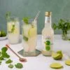 Highball Cocktails Mojito